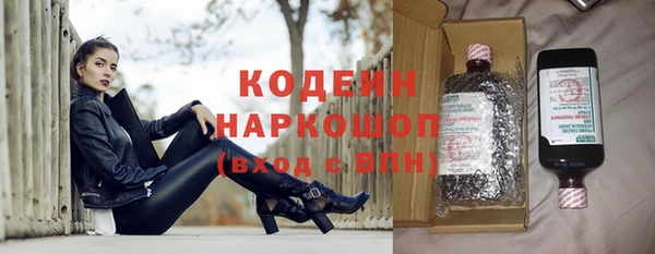 индика Михайлов
