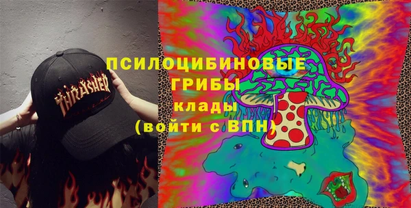 индика Михайлов