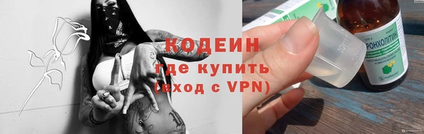 индика Михайлов
