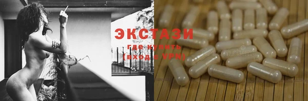 индика Михайлов