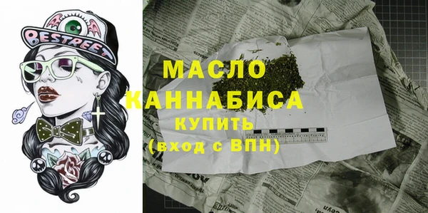 индика Михайлов