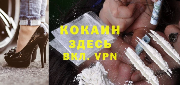индика Михайлов