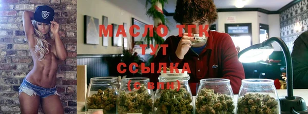 индика Михайлов