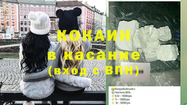 индика Михайлов