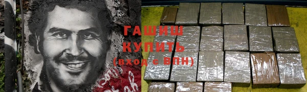 индика Михайлов