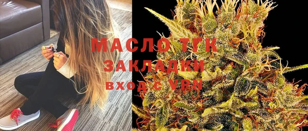 индика Михайлов