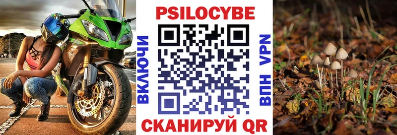 Галлюциногенные грибы Psilocybe  Купить закладки  Шелехов 