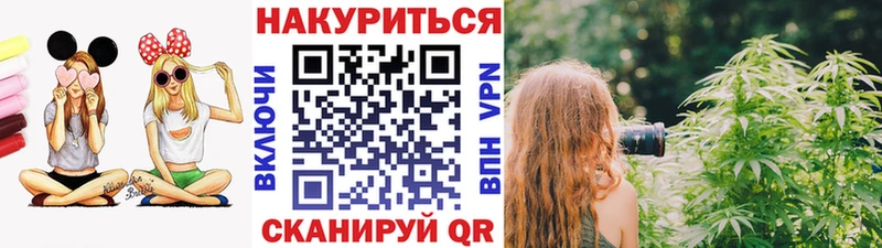 Купить где  Шелехов  Каннабис VHQ 